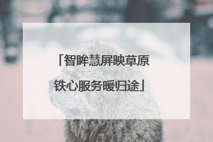 智眸慧屏映草原 铁心服务暖归途