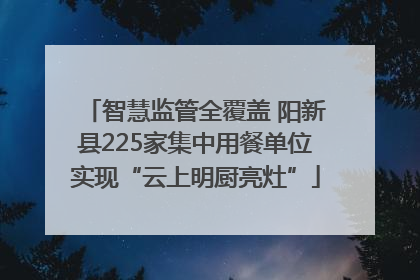 智慧监管全覆盖 阳新县225家集中用餐单位实现“云上明厨亮灶”