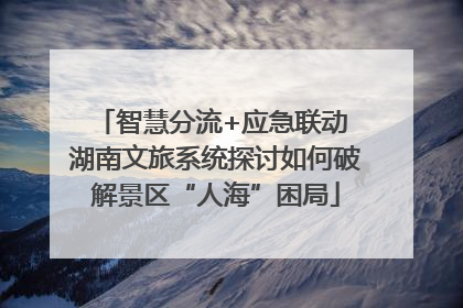 智慧分流+应急联动 湖南文旅系统探讨如何破解景区“人海”困局
