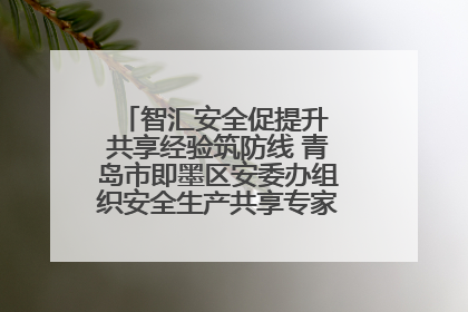 智汇安全促提升 共享经验筑防线 青岛市即墨区安委办组织安全生产共享专家现场观摩学习活动