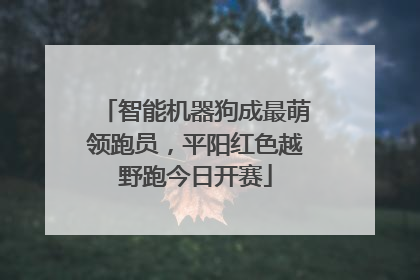 智能机器狗成最萌领跑员，平阳红色越野跑今日开赛