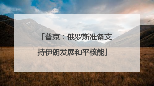 普京：俄罗斯准备支持伊朗发展和平核能