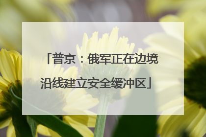 普京：俄军正在边境沿线建立安全缓冲区