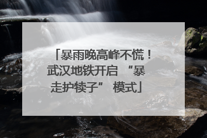暴雨晚高峰不慌！武汉地铁开启 “暴走护犊子” 模式