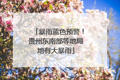 暴雨蓝色预警！贵州东南部等地局地有大暴雨