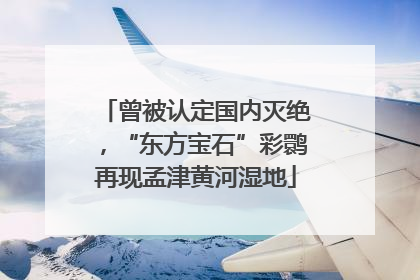 曾被认定国内灭绝，“东方宝石”彩鹮再现孟津黄河湿地