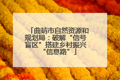 曲靖市自然资源和规划局：破解“信号盲区”搭建乡村振兴“信息路”