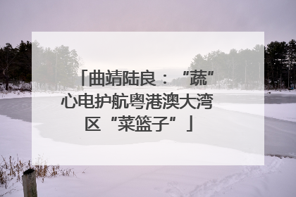 曲靖陆良：“蔬”心电护航粤港澳大湾区“菜篮子”