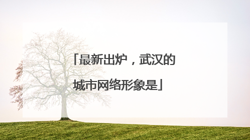 最新出炉，武汉的城市网络形象是