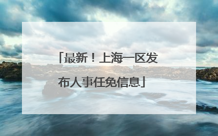 最新！上海一区发布人事任免信息