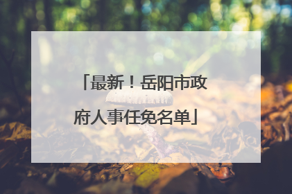 最新！岳阳市政府人事任免名单
