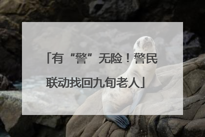 有“警”无险！警民联动找回九旬老人