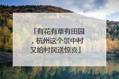 有花有草有田园，杭州这个景中村又给村民送惊喜
