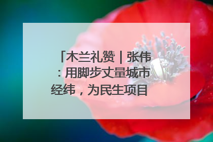 木兰礼赞｜张伟：用脚步丈量城市经纬，为民生项目按下“加速键”