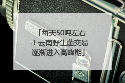 每天50吨左右！云南野生菌交易逐渐进入高峰期