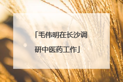 毛伟明在长沙调研中医药工作