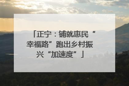 正宁：铺就惠民“幸福路”跑出乡村振兴“加速度”