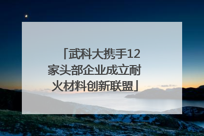 武科大携手12家头部企业成立耐火材料创新联盟