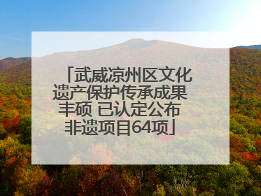 武威凉州区文化遗产保护传承成果丰硕 已认定公布非遗项目64项