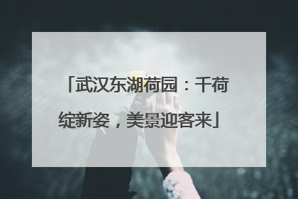 武汉东湖荷园：千荷绽新姿，美景迎客来