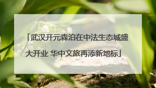 武汉开元森泊在中法生态城盛大开业 华中文旅再添新地标