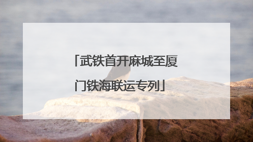 武铁首开麻城至厦门铁海联运专列