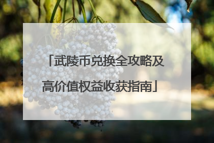 武陵币兑换全攻略及高价值权益收获指南