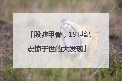 殷墟甲骨，19世纪震惊于世的大发现