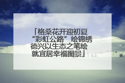 格桑花开迎初夏 “彩虹公路”绘锦绣 德兴以生态之笔绘就宜居幸福图景