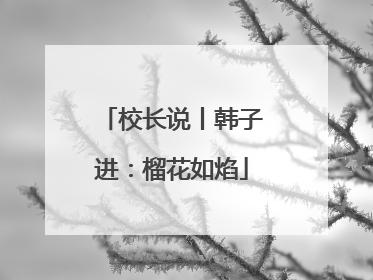 校长说丨韩子进：榴花如焰