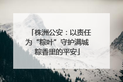 株洲公安：以责任为“粽叶”守护满城粽香里的平安