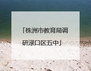 株洲市教育局调研渌口区五中