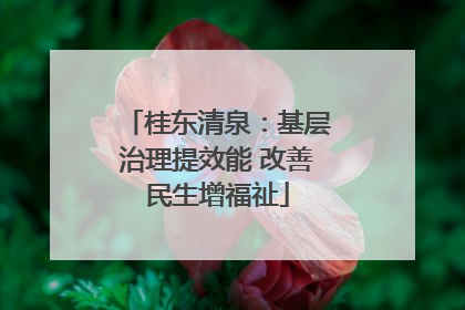 桂东清泉：基层治理提效能 改善民生增福祉