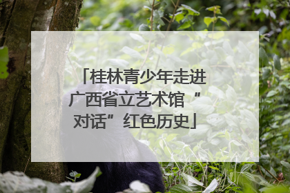 桂林青少年走进广西省立艺术馆“对话”红色历史