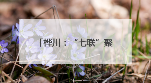 桦川：“七联”聚合力 党建开新局