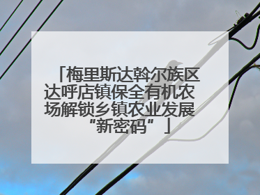 梅里斯达斡尔族区达呼店镇保全有机农场解锁乡镇农业发展“新密码”