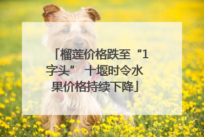 榴莲价格跌至“1字头” 十堰时令水果价格持续下降