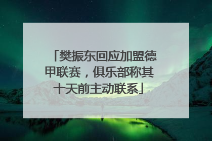 樊振东回应加盟德甲联赛，俱乐部称其十天前主动联系