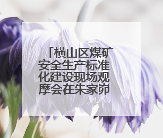 横山区煤矿安全生产标准化建设现场观摩会在朱家峁煤矿召开