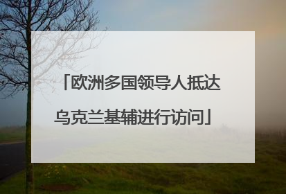 欧洲多国领导人抵达乌克兰基辅进行访问