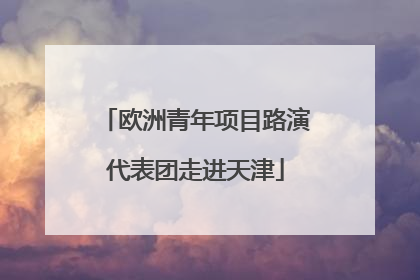 欧洲青年项目路演代表团走进天津