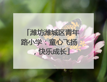 潍坊潍城区青年路小学：童心飞扬，快乐成长
