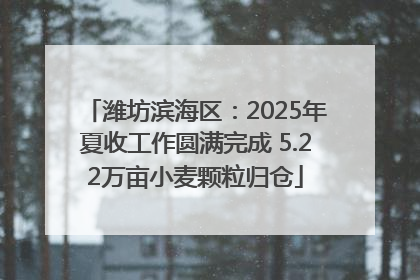 潍坊滨海区：2025年夏收工作圆满完成 5.22万亩小麦颗粒归仓