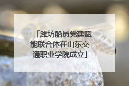 潍坊船员党建赋能联合体在山东交通职业学院成立