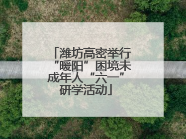 潍坊高密举行“暖阳”困境未成年人“六一”研学活动