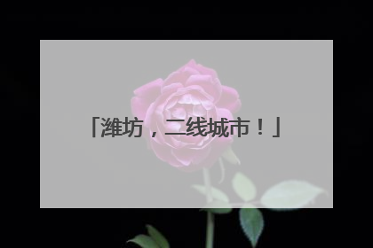 潍坊，二线城市！
