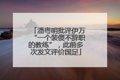 潘粤明批评伊万“一个装傻不辞职的教练”，此前多次发文评价国足