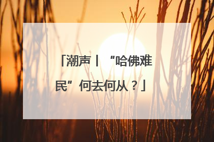 潮声丨“哈佛难民”何去何从？