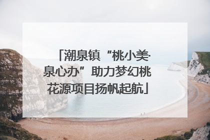 潮泉镇“桃小美·泉心办”助力梦幻桃花源项目扬帆起航