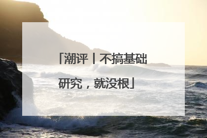 潮评丨不搞基础研究，就没根
